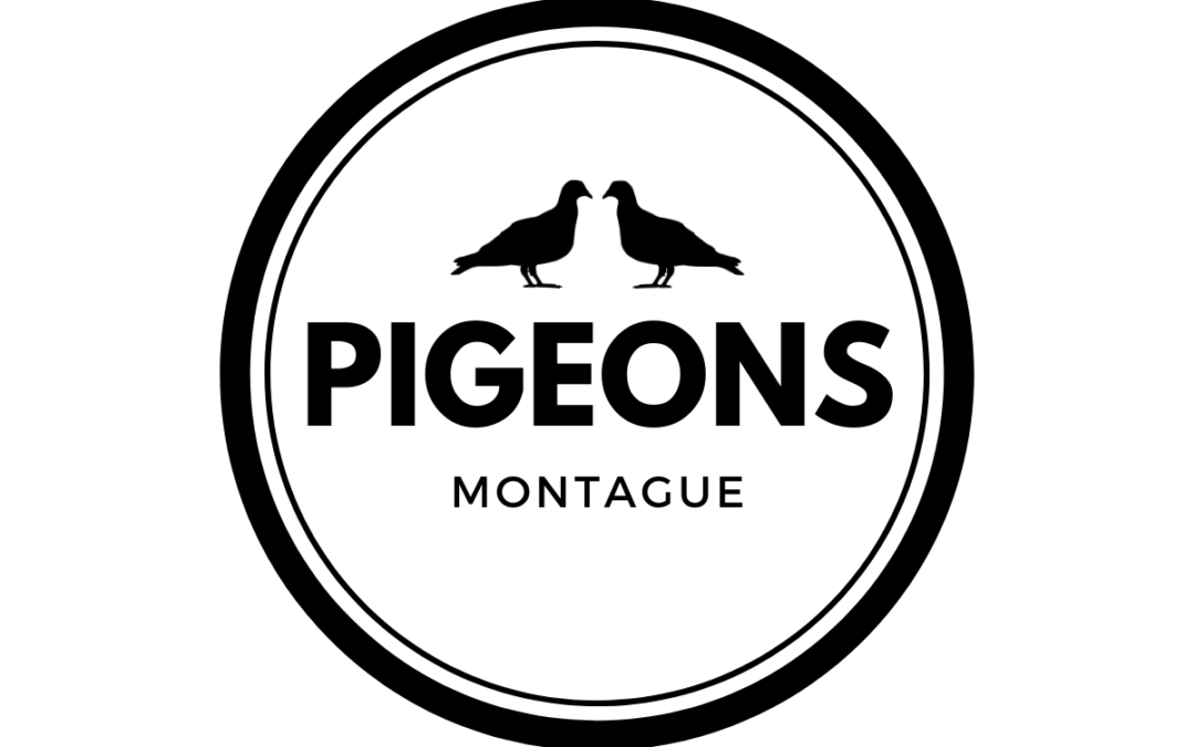 Pigeons